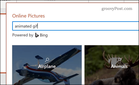 Searching for an animated gif in PowerPoint