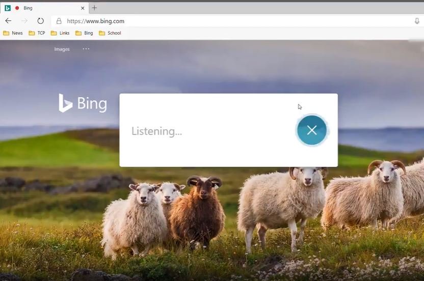Microsoft brings Voice Search feature to Bing desktop experience