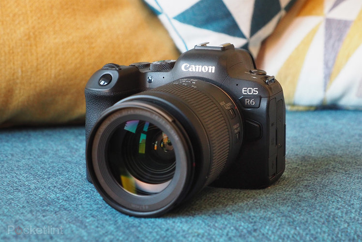 Canon EOS R6 review: Lower resolution, higher quality?