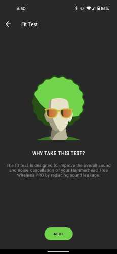 A screenshot of the fit test