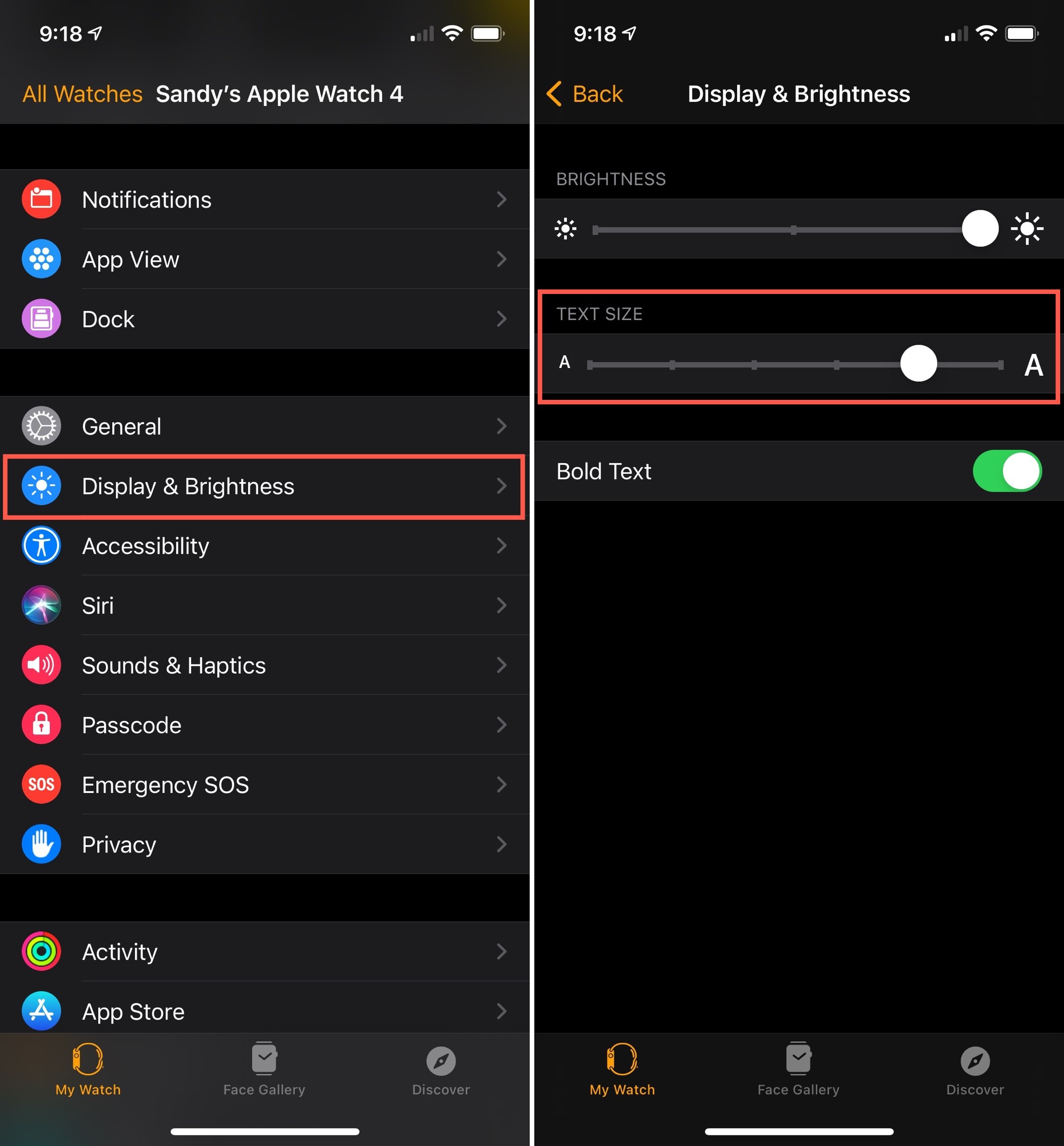 Watch app Display and Brightness Text Size