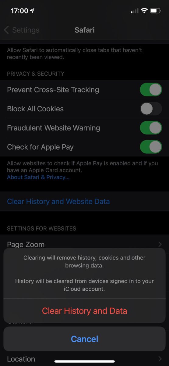 How to remove iPhone viruses: Clear history