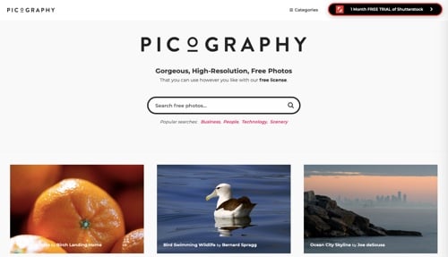 Home page of Picography