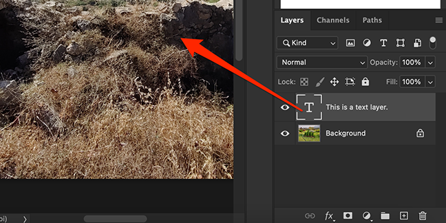 Drag a layer from the "Layers" panel in the Photoshop window