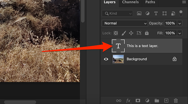 A layer has been copied to secondary document in the Photoshop window.