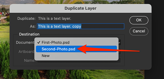 Select a destination document in the "Duplicate Layer" window.