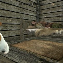 This Skyrim mod lets you turn Good Boy Meeko into a corgi, terrier, or pug