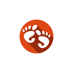 Get Started Tweaking Ubuntu 20.04 with ‘Ubuntu First Steps’