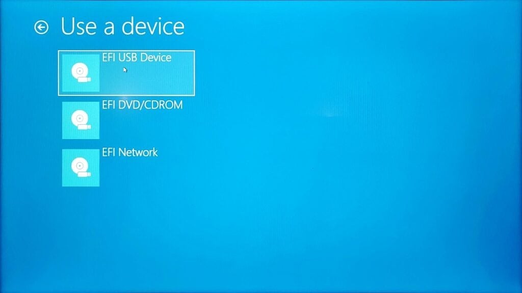 Selecting a device in the Windows advanced startup menu