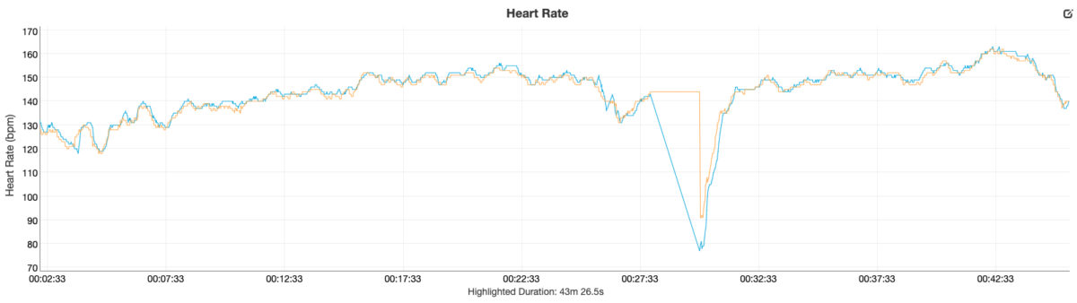 fitbit luxe review heart rate data vs garmin fenix 6 pro