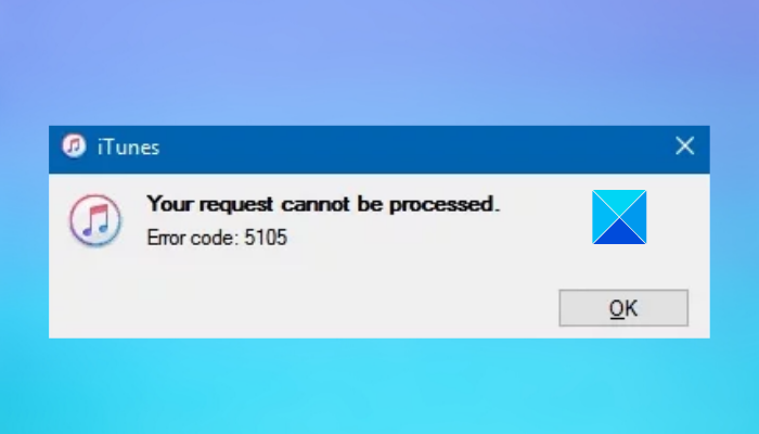 Fix iTunes Error Code 5105, Your request cannot be processed in in Windows 11/10