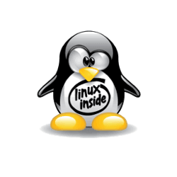 Linux Kernel 5.13 Released! How to Install in Ubuntu 21.04