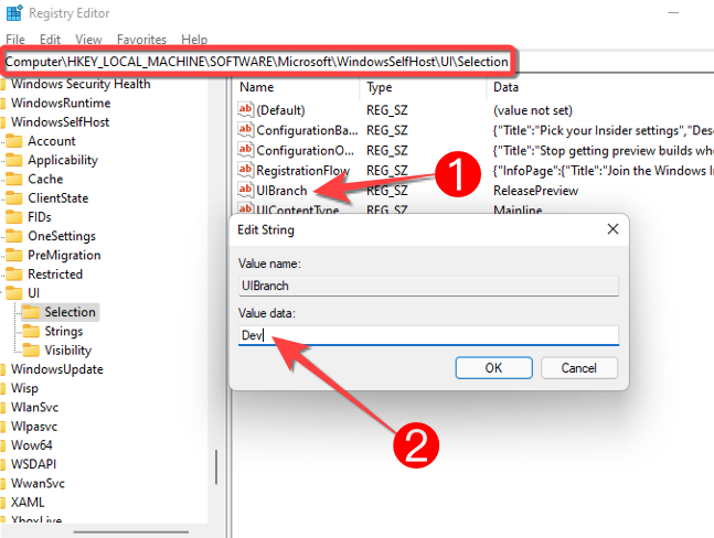 In Registry Editor's address, double-click "UIBranch" and type in "Dev" in the "Value data" box.