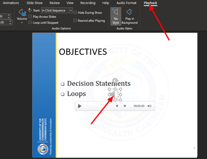 How do I hide the audio icon in PowerPoint