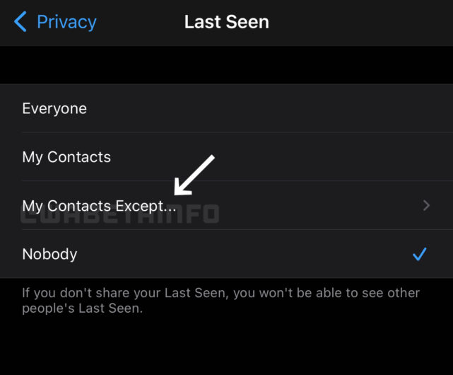 WhatsApp will allow you to set custom privacy settings soon
