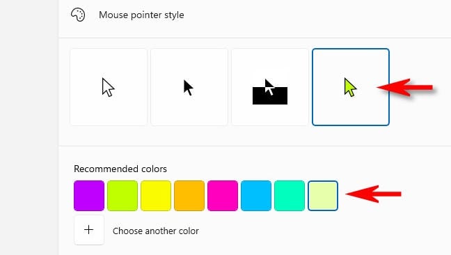 Choose a mouse pointer color.
