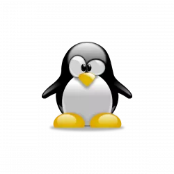 How to Install Kernel 5.13 in Ubuntu 18.04 from the 20.04 Repository