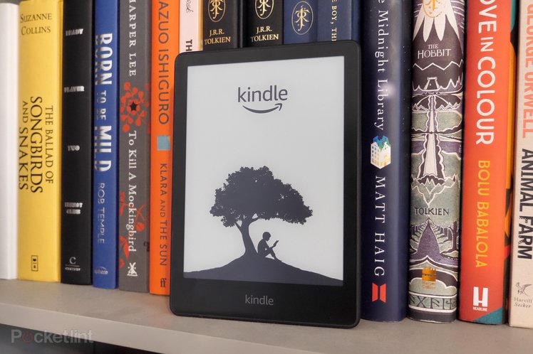 Amazon Kindle will finally support EPUB files later this year