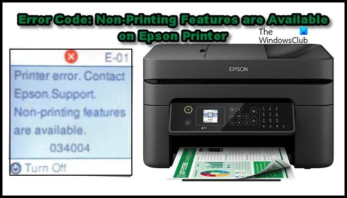 Epson Printer Error, Non-printing features are available