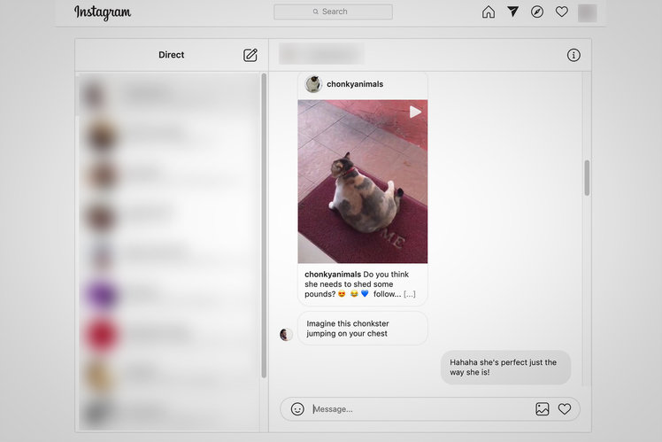 Instagram brings DMs and Lives to the web: How to find them