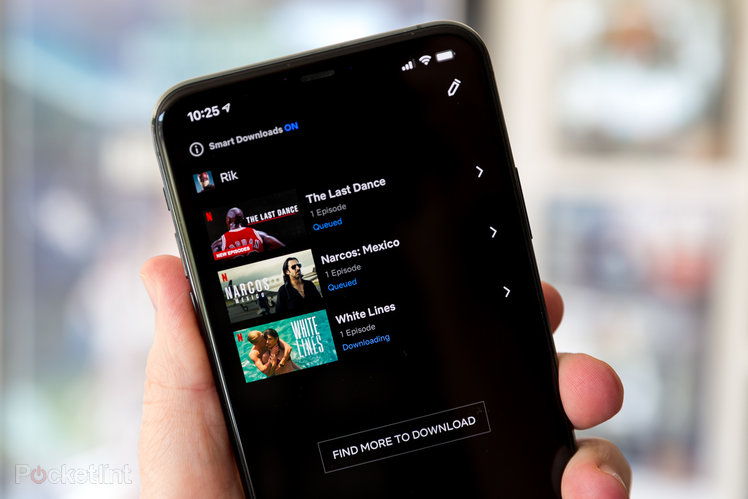 Netflix reportedly adding essential new feature for offline viewing