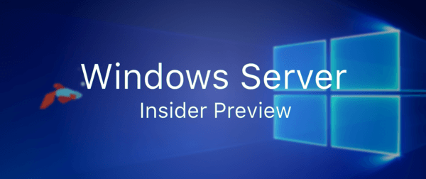 Microsoft Releases Windows Server Build 19624
