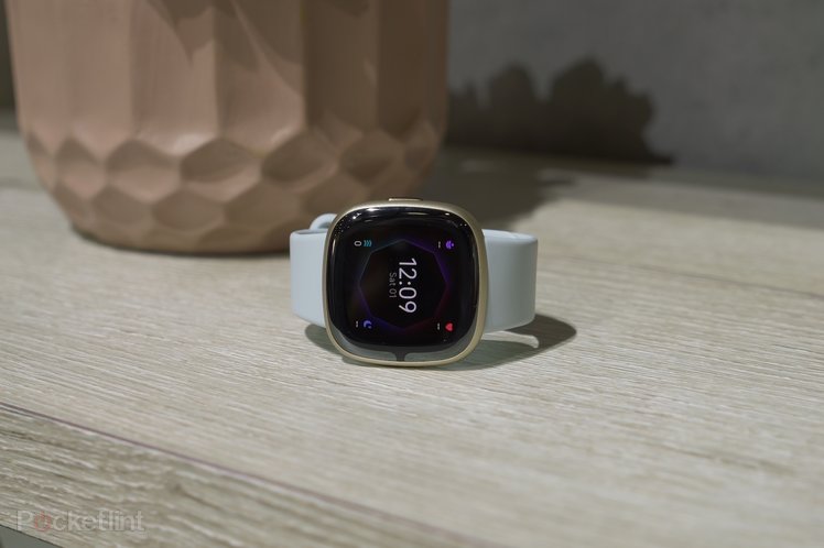 Fitbit Sense 2 initial review: Holistic health on your wrist