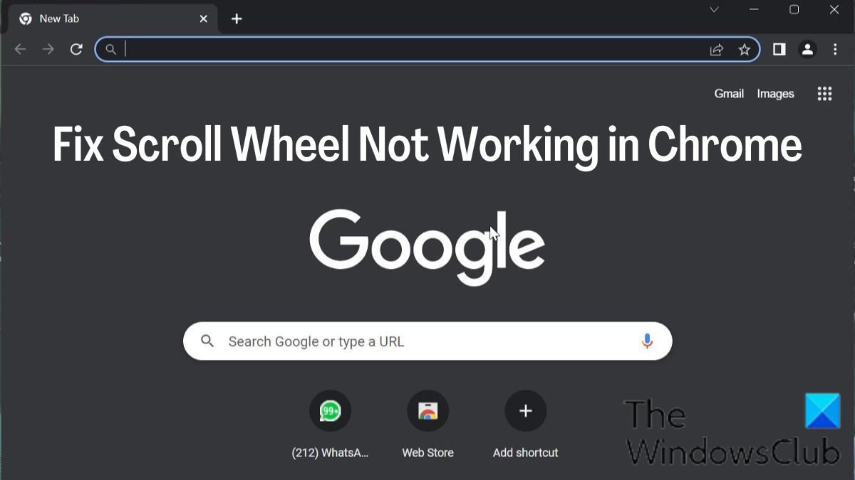 Scroll Wheel not working in Chrome [Fixed]