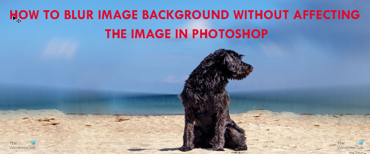 How to Blur Image Background in Photoshop