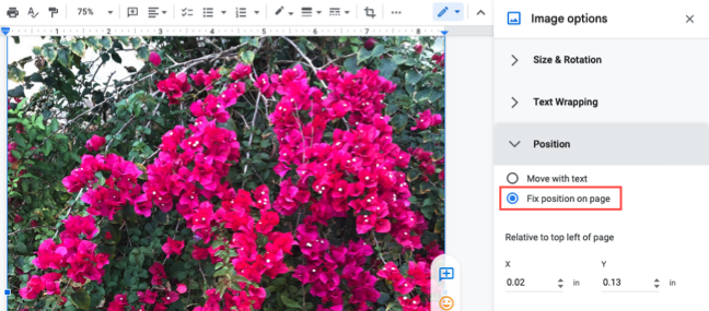 Fix Position on Page in the Image Options sidebar
