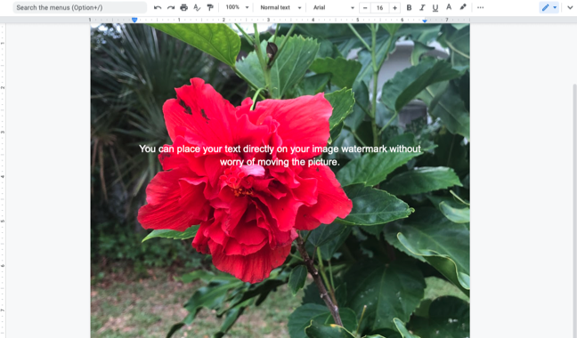 Image watermark in Google Docs with text on the page