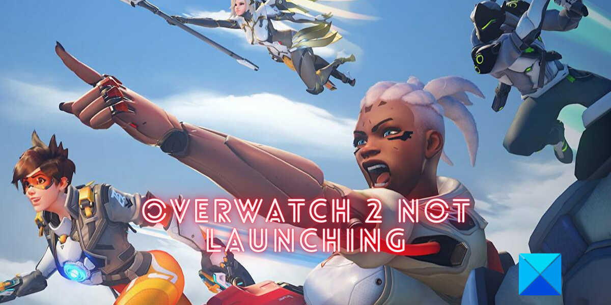 Overwatch 2 not launching or opening on PC