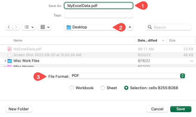 Save As box for Excel to PDF on Mac