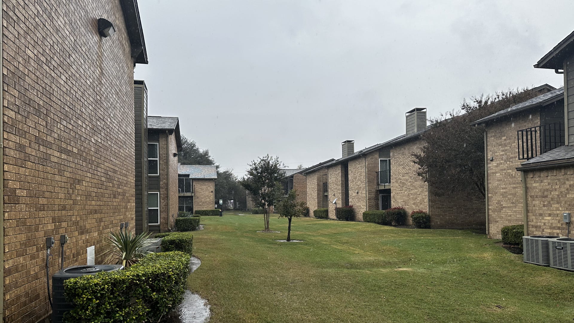 Apartments on either side of greenspace with two trees in the middle
