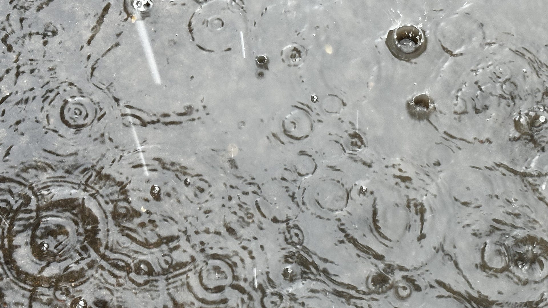 Rain drops falling on a puddle