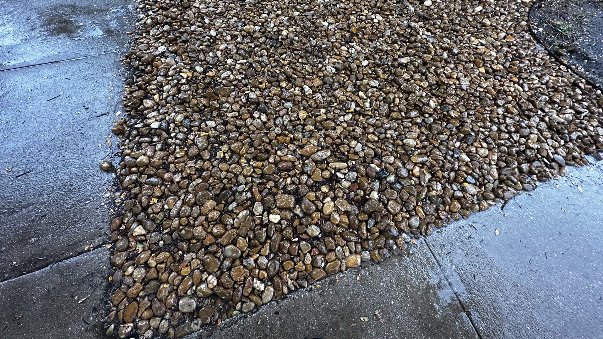 Freshly rained-on rocks with sidewalk on either side