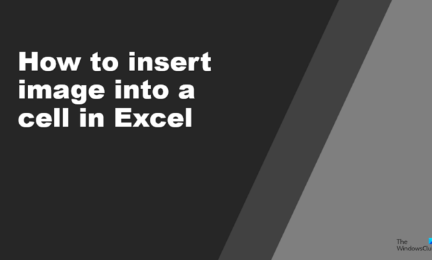 how to insert image into a cell in excel 1