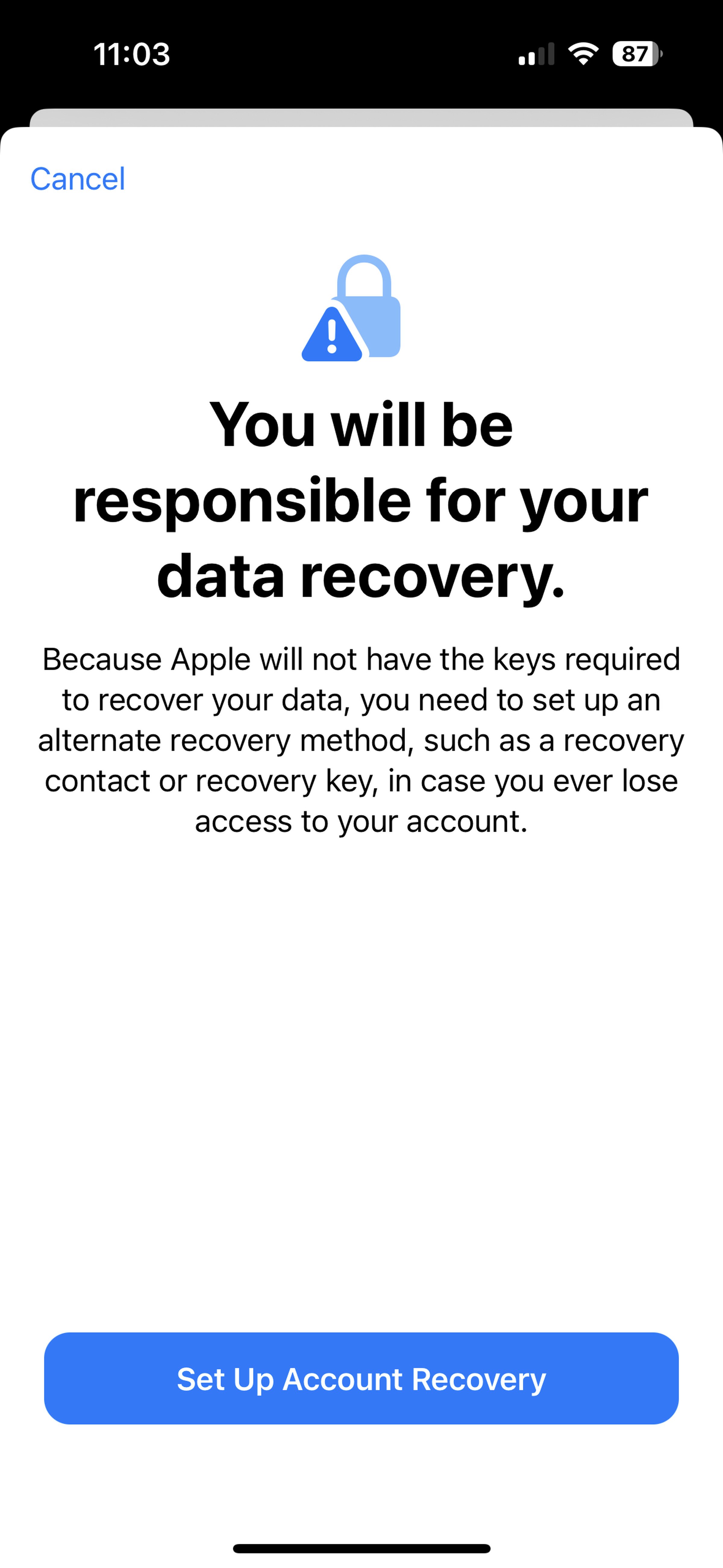 Screenshot with text indicating that the user needs to set up account recovery because Apple will no longer have access.
