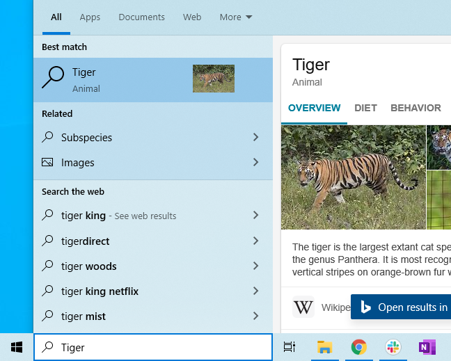 Bing search showing information on tigers in Windows 10's Start menu.