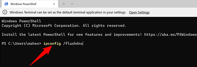 Flush the DNS cache with Windows Terminal.
