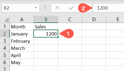 Data entered in a cell and the Formula Bar