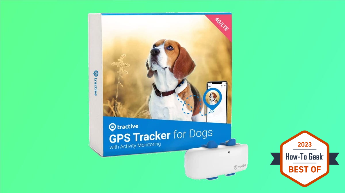 Tractive GPS tracker on green background