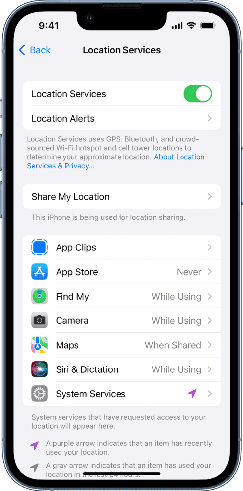 Apple iPhone Location Services setting