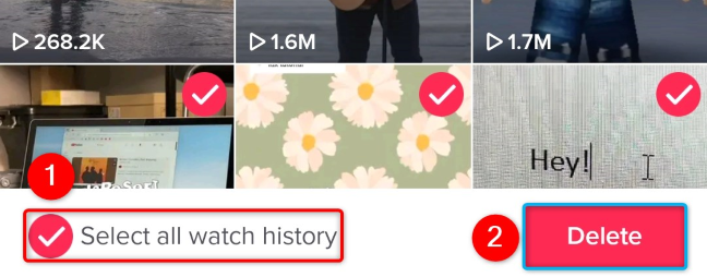 Activate "Select All Watch History" and tap "Delete."