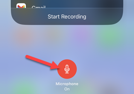Tap "Microphone" to turn it on.