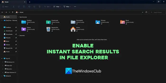 How to enable Instant Search Results in File Explorer of Windows 11