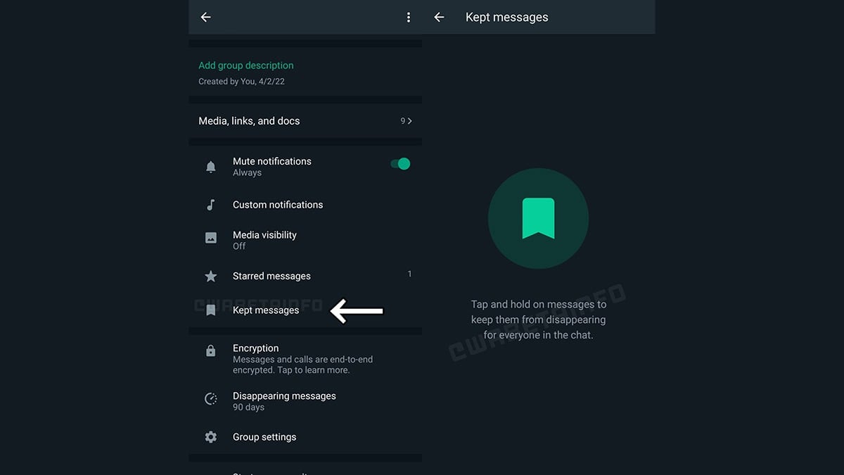 WhatsApp beta users on Android can now save disappearing messages