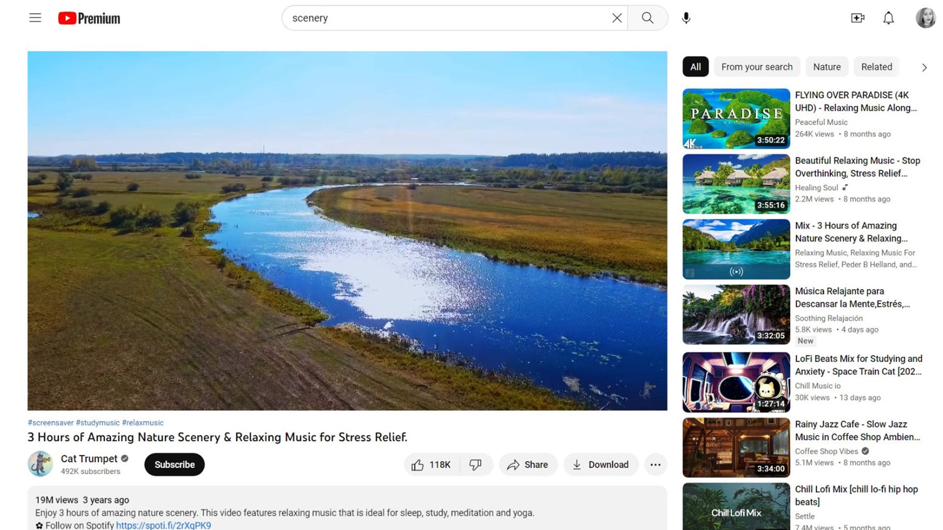 an image of a Youtube video of a river. 