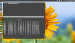 last-reboot-linux-1744118-8747267-8270786