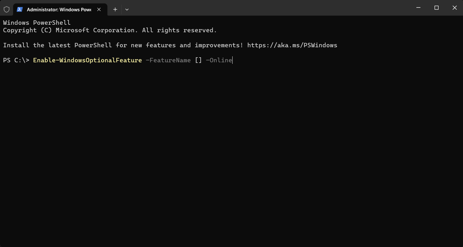 Using a command line to enable a feature in Terminal.